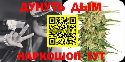 прущие грибы Гусиноозёрск