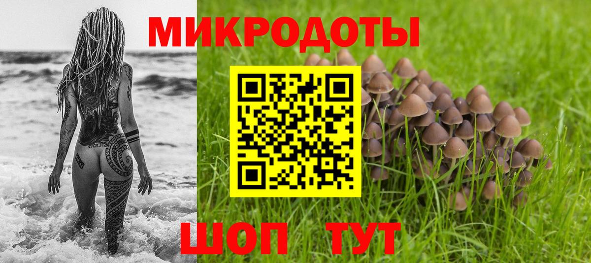 Псилоцибиновые грибы Psilocybine cubensis Новоалтайск